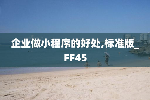 企业做小程序的好处,标准版_FF45