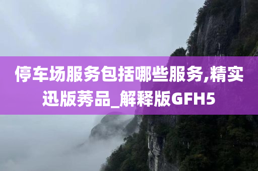 停车场服务包括哪些服务,精实迅版莠品_解释版GFH5