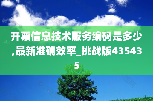 开票信息技术服务编码是多少,最新准确效率_挑战版435435