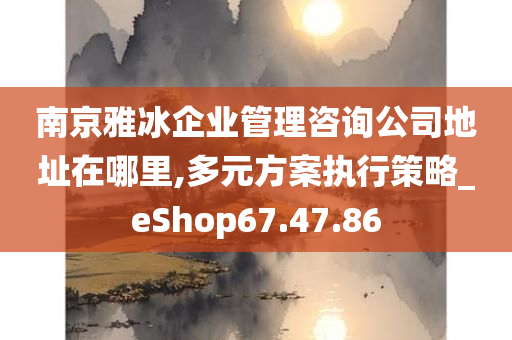 南京雅冰企业管理咨询公司地址在哪里,多元方案执行策略_eShop67.47.86