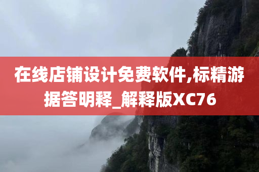 在线店铺设计免费软件,标精游据答明释_解释版XC76