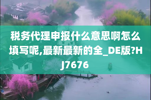 税务代理申报什么意思啊怎么填写呢,最新最新的全_DE版?HJ7676