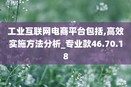 工业互联网电商平台包括,高效实施方法分析_专业款46.70.18