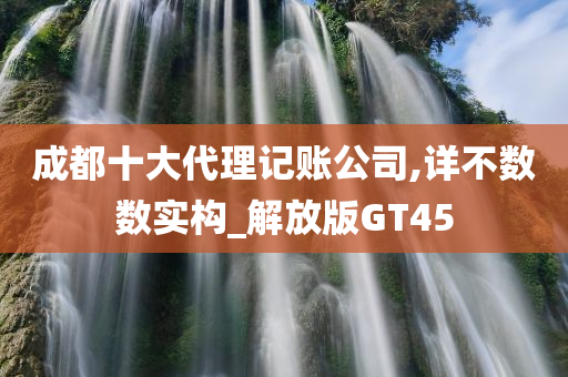 成都十大代理记账公司,详不数数实构_解放版GT45