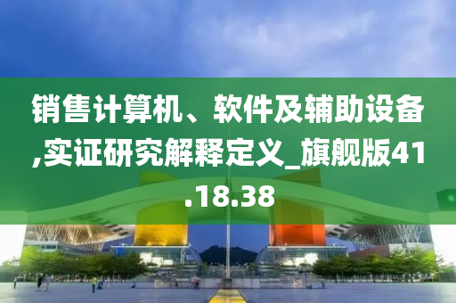 销售计算机、软件及辅助设备,实证研究解释定义_旗舰版41.18.38