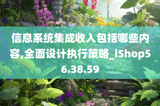 信息系统集成收入包括哪些内容,全面设计执行策略_iShop56.38.59