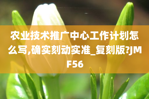 农业技术推广中心工作计划怎么写,确实刻动实准_复刻版?JMF56