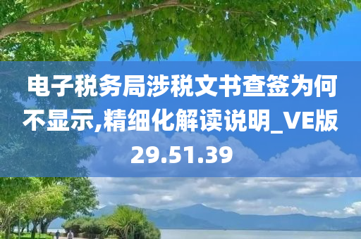 电子税务局涉税文书查签为何不显示,精细化解读说明_VE版29.51.39