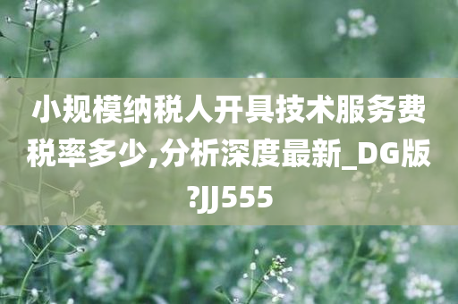 小规模纳税人开具技术服务费税率多少,分析深度最新_DG版?JJ555