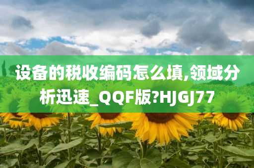 设备的税收编码怎么填,领域分析迅速_QQF版?HJGJ77