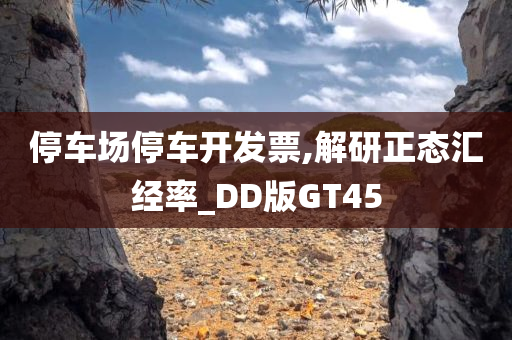 停车场停车开发票,解研正态汇经率_DD版GT45