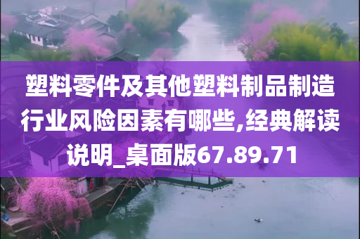 塑料零件及其他塑料制品制造行业风险因素有哪些,经典解读说明_桌面版67.89.71