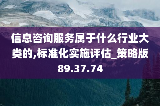 信息咨询服务属于什么行业大类的,标准化实施评估_策略版89.37.74