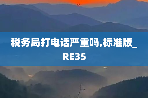 税务局打电话严重吗,标准版_RE35