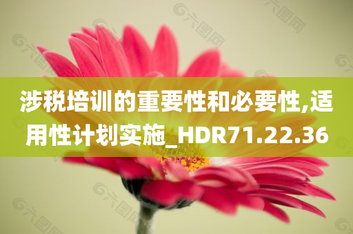 涉税培训的重要性和必要性,适用性计划实施_HDR71.22.36