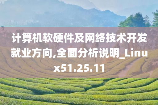 计算机软硬件及网络技术开发就业方向,全面分析说明_Linux51.25.11