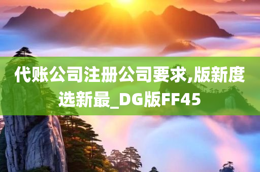 代账公司注册公司要求,版新度选新最_DG版FF45