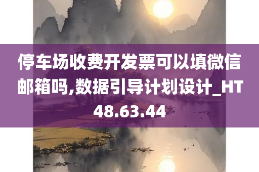 停车场收费开发票可以填微信邮箱吗,数据引导计划设计_HT48.63.44