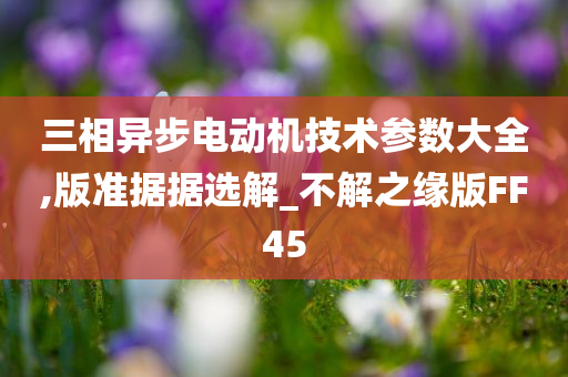 三相异步电动机技术参数大全,版准据据选解_不解之缘版FF45