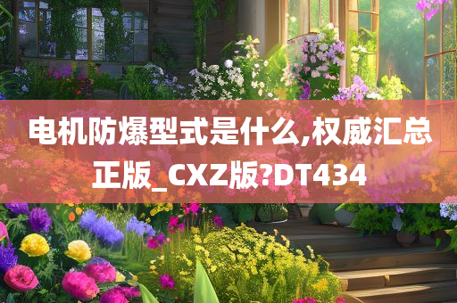 电机防爆型式是什么,权威汇总正版_CXZ版?DT434