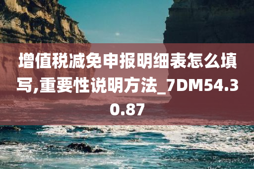 增值税减免申报明细表怎么填写,重要性说明方法_7DM54.30.87