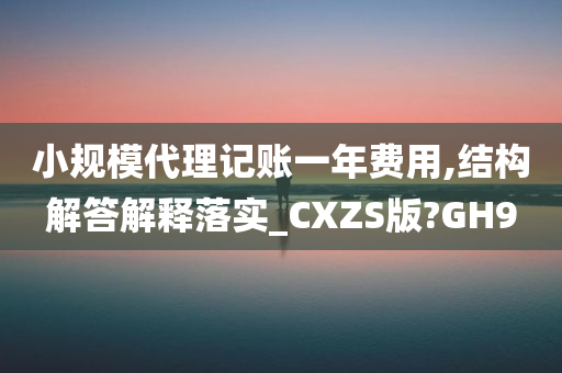 小规模代理记账一年费用,结构解答解释落实_CXZS版?GH9