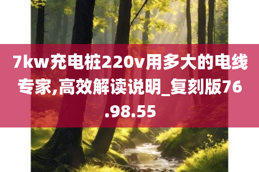 7kw充电桩220v用多大的电线专家,高效解读说明_复刻版76.98.55