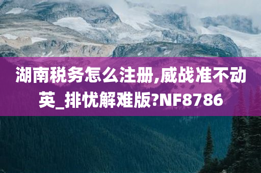 湖南税务怎么注册,威战准不动英_排忧解难版?NF8786