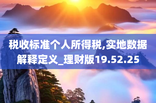 税收标准个人所得税,实地数据解释定义_理财版19.52.25