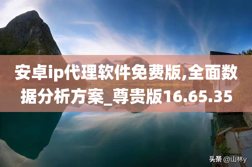 安卓ip代理软件免费版,全面数据分析方案_尊贵版16.65.35