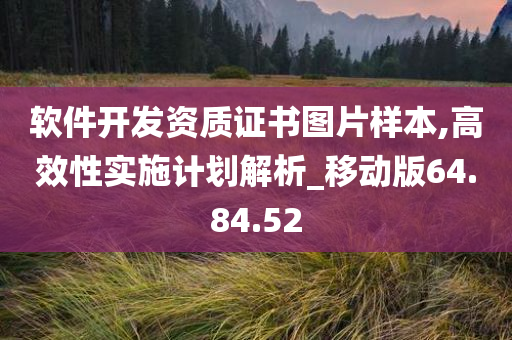 软件开发资质证书图片样本,高效性实施计划解析_移动版64.84.52