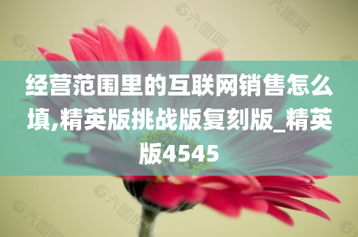 经营范围里的互联网销售怎么填,精英版挑战版复刻版_精英版4545