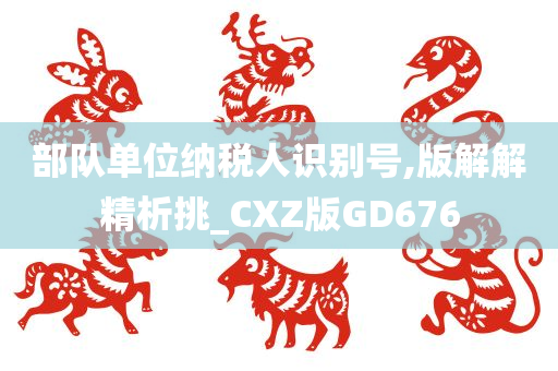 部队单位纳税人识别号,版解解精析挑_CXZ版GD676