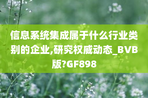 信息系统集成属于什么行业类别的企业,研究权威动态_BVB版?GF898