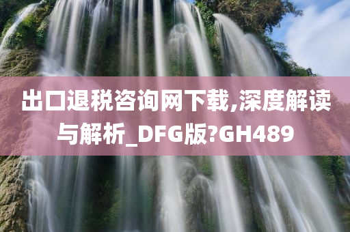 出口退税咨询网下载,深度解读与解析_DFG版?GH489