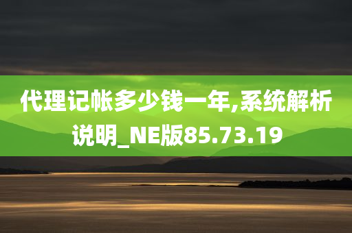 代理记帐多少钱一年,系统解析说明_NE版85.73.19