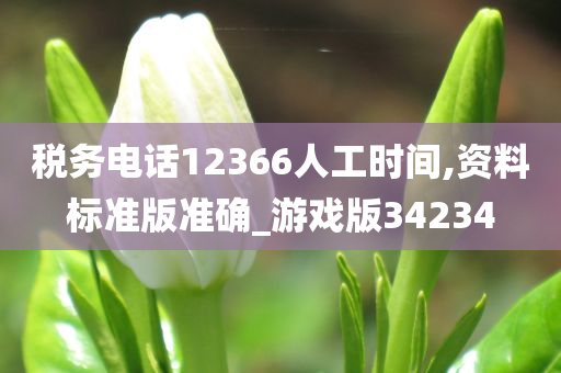 税务电话12366人工时间,资料标准版准确_游戏版34234