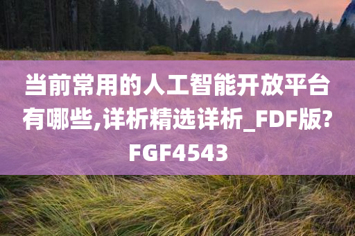 当前常用的人工智能开放平台有哪些,详析精选详析_FDF版?FGF4543