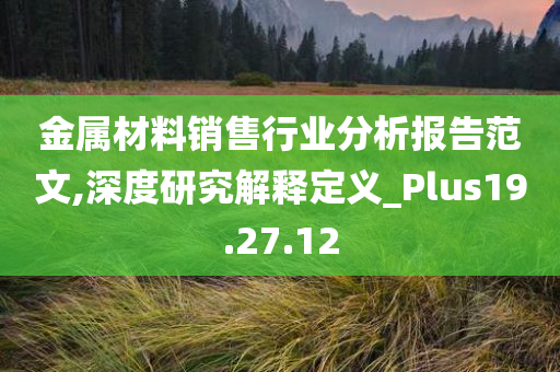 金属材料销售行业分析报告范文,深度研究解释定义_Plus19.27.12