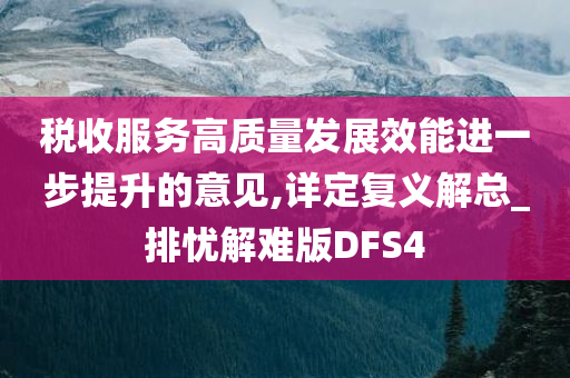 税收服务高质量发展效能进一步提升的意见,详定复义解总_排忧解难版DFS4