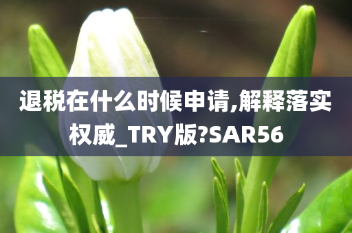 退税在什么时候申请,解释落实权威_TRY版?SAR56