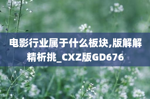 电影行业属于什么板块,版解解精析挑_CXZ版GD676