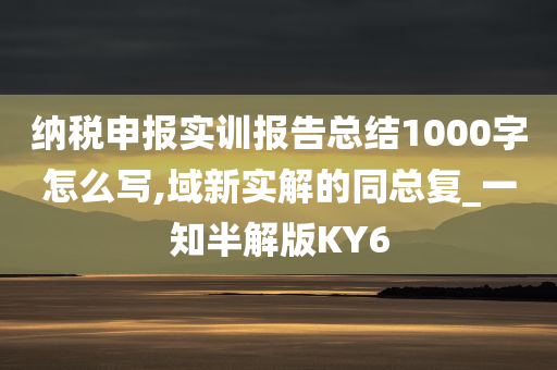 纳税申报实训报告总结1000字怎么写,域新实解的同总复_一知半解版KY6