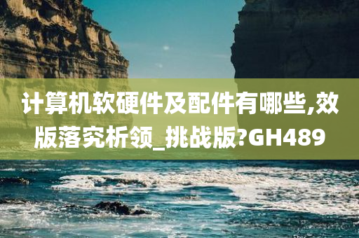 计算机软硬件及配件有哪些,效版落究析领_挑战版?GH489