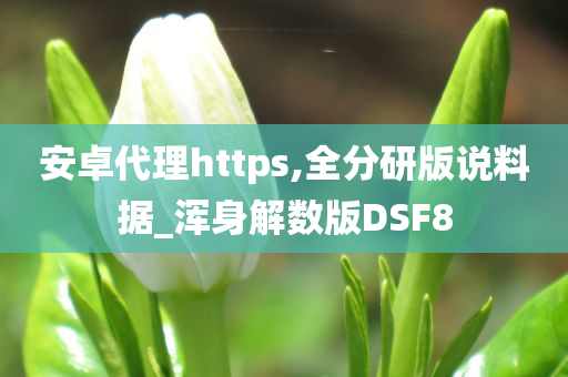 安卓代理https,全分研版说料据_浑身解数版DSF8