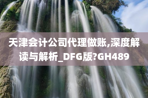 天津会计公司代理做账,深度解读与解析_DFG版?GH489