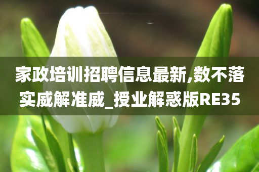 家政培训招聘信息最新,数不落实威解准威_授业解惑版RE35