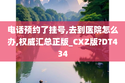 电话预约了挂号,去到医院怎么办,权威汇总正版_CXZ版?DT434