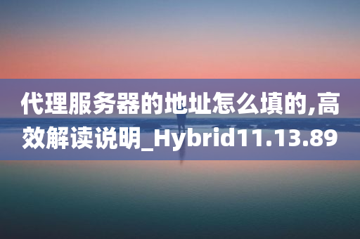 代理服务器的地址怎么填的,高效解读说明_Hybrid11.13.89