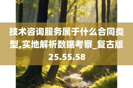 技术咨询服务属于什么合同类型,实地解析数据考察_复古版25.55.58